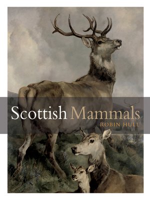 cover image of Scottish Mammals